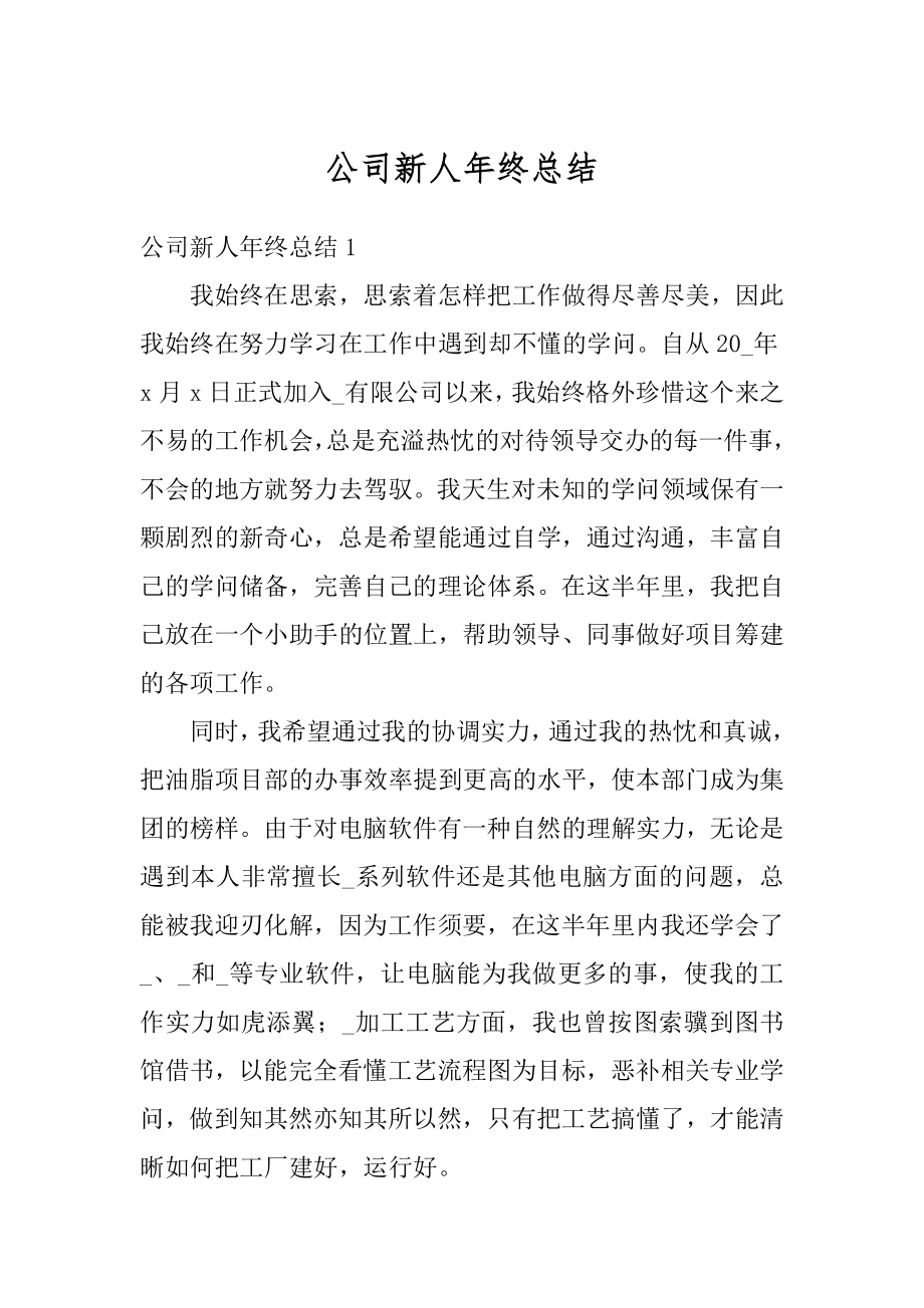 公司新人年终总结精编.docx_第1页