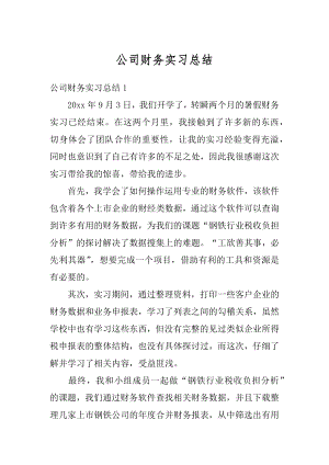 公司财务实习总结汇编.docx