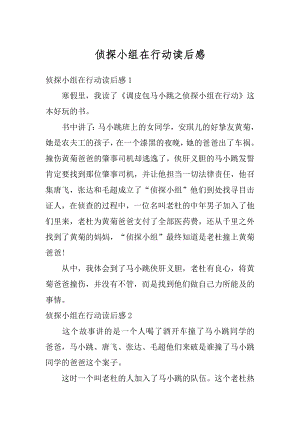 侦探小组在行动读后感最新.docx