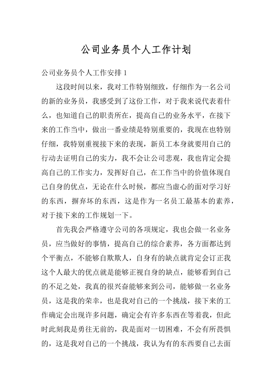 公司业务员个人工作计划范例.docx_第1页