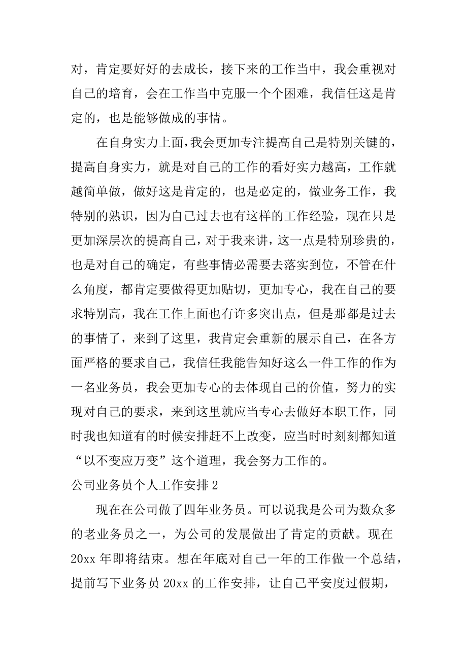 公司业务员个人工作计划范例.docx_第2页