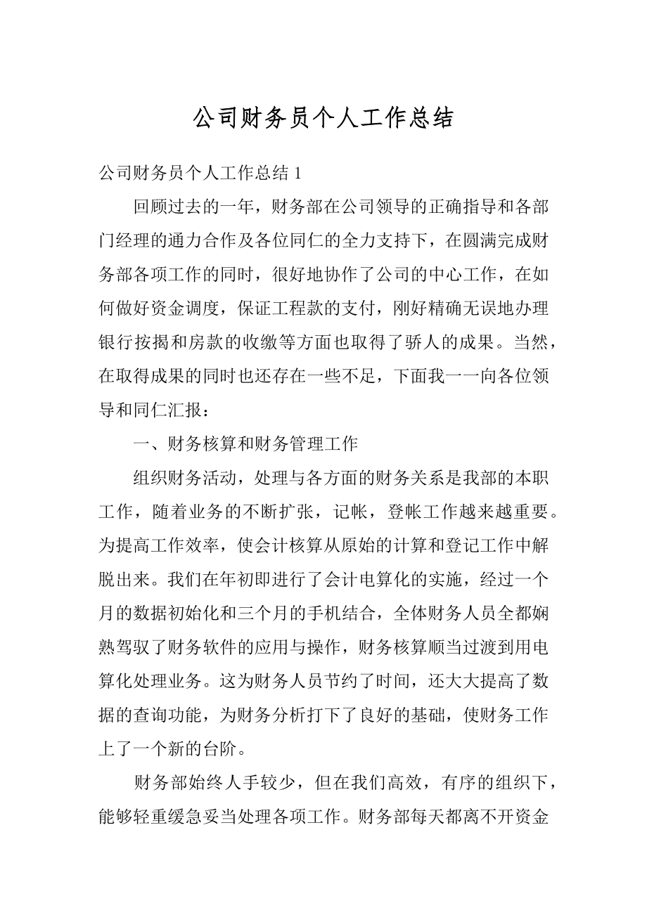 公司财务员个人工作总结范本.docx_第1页