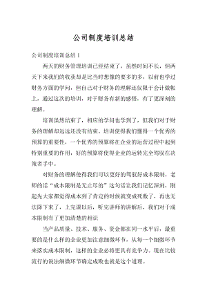 公司制度培训总结精编.docx