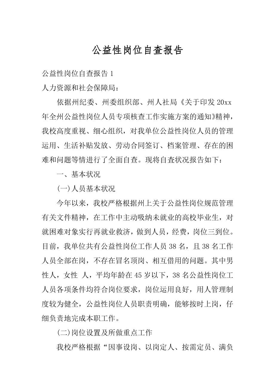 公益性岗位自查报告汇总.docx_第1页