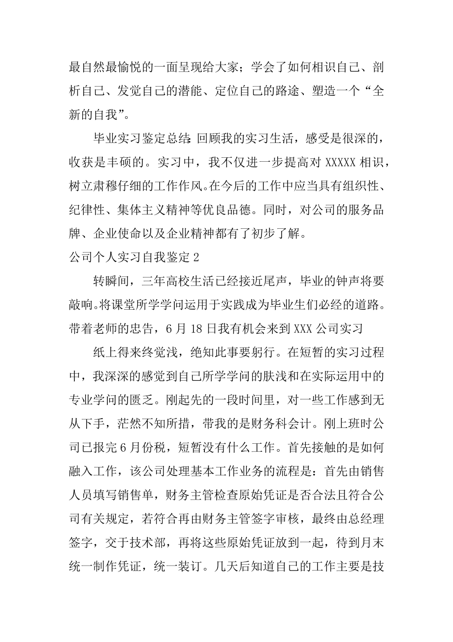 公司个人实习自我鉴定范例.docx_第2页