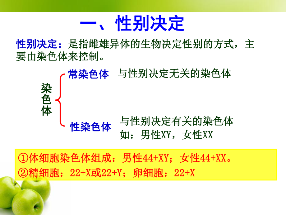 伴性遗传上课课件ppt.ppt_第1页