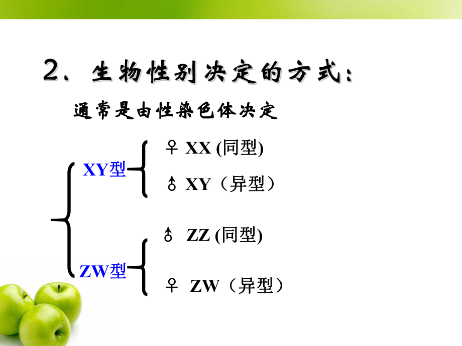 伴性遗传上课课件ppt.ppt_第2页