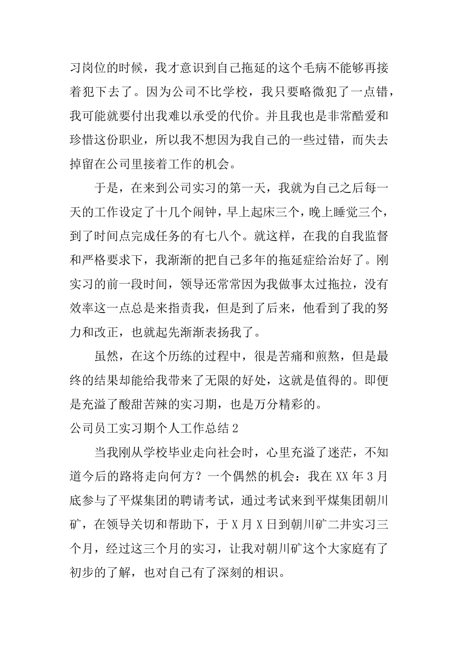 公司员工实习期个人工作总结精选.docx_第2页