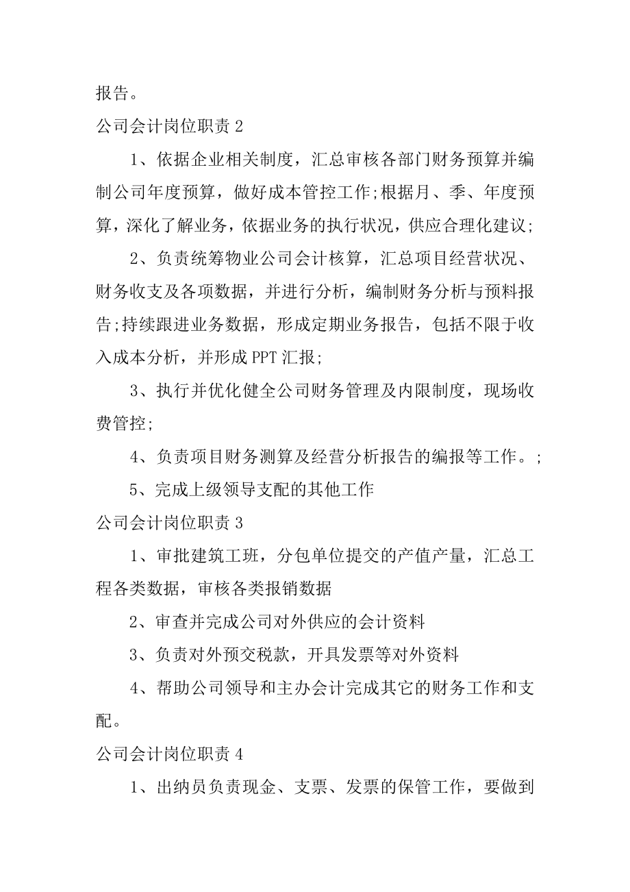 公司会计岗位职责精编.docx_第2页