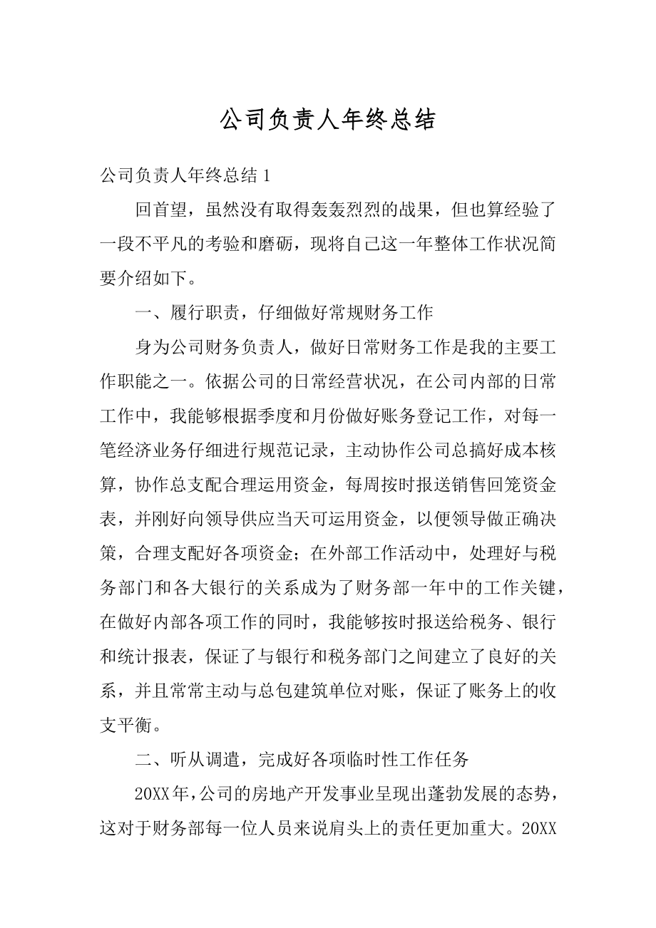 公司负责人年终总结精选.docx_第1页