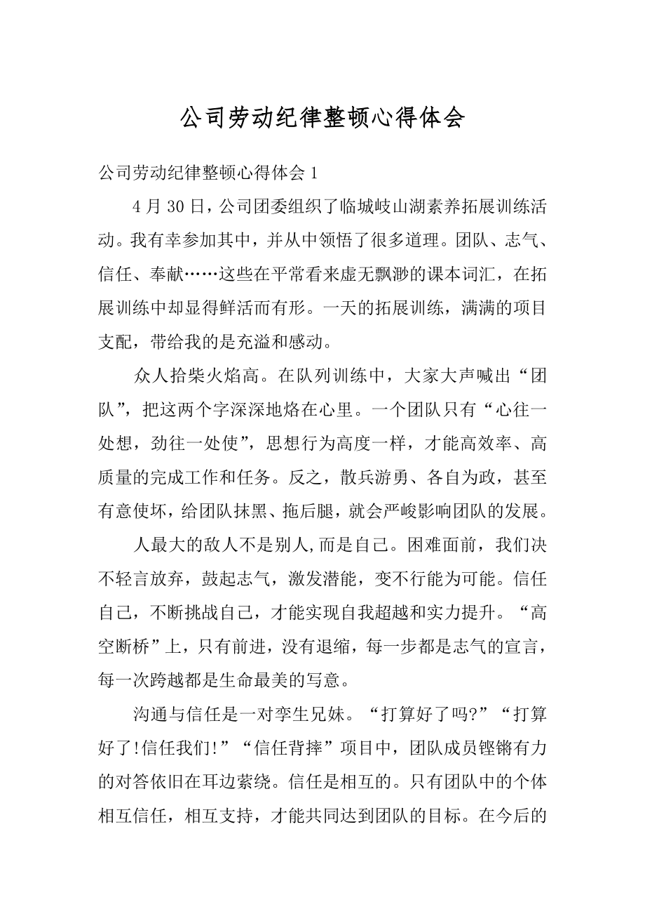 公司劳动纪律整顿心得体会最新.docx_第1页