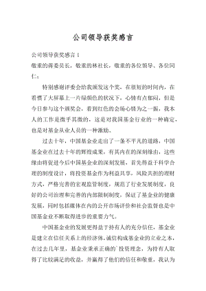 公司领导获奖感言范本.docx