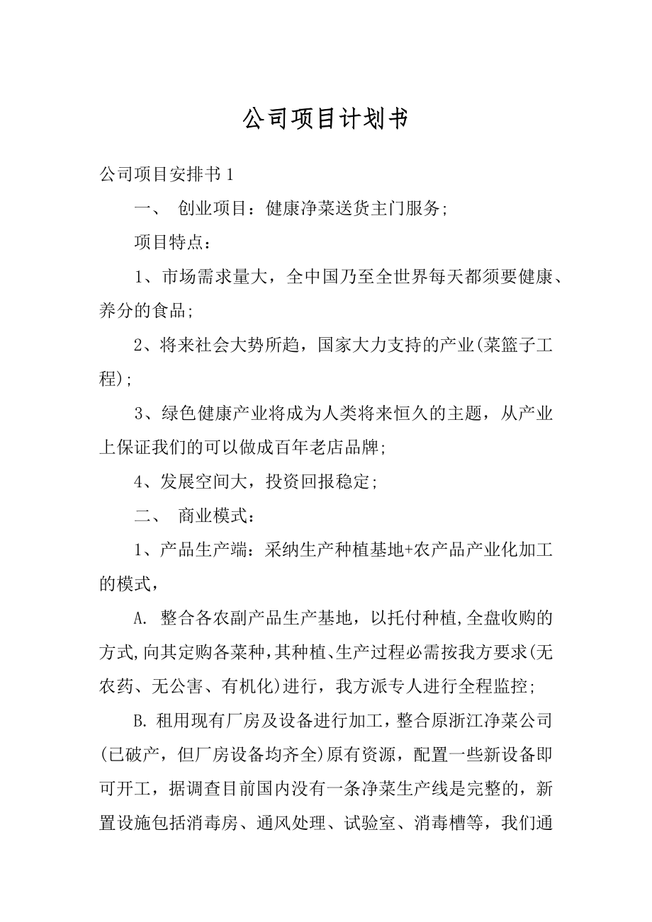 公司项目计划书精编.docx_第1页