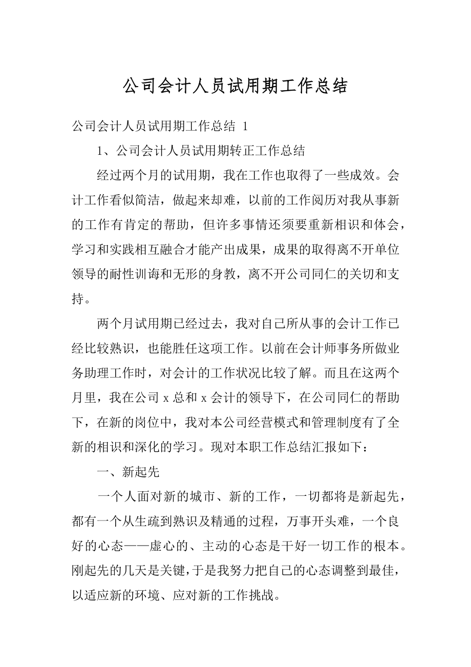 公司会计人员试用期工作总结精编.docx_第1页