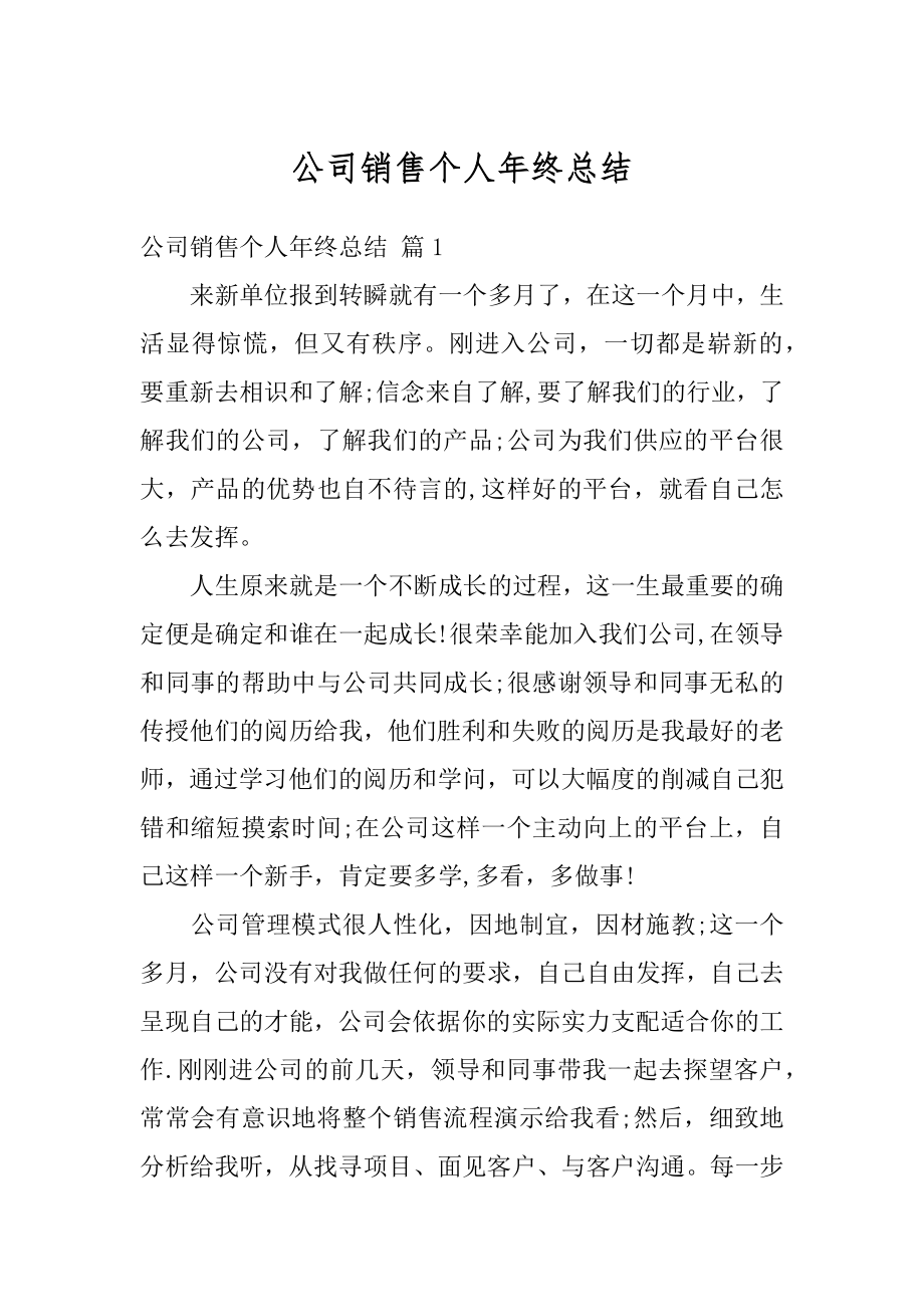 公司销售个人年终总结精品.docx_第1页