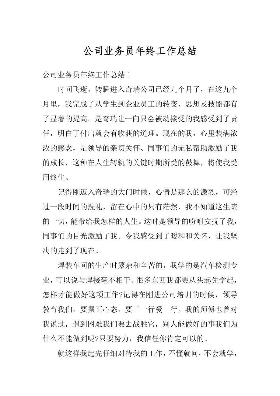 公司业务员年终工作总结精品.docx_第1页