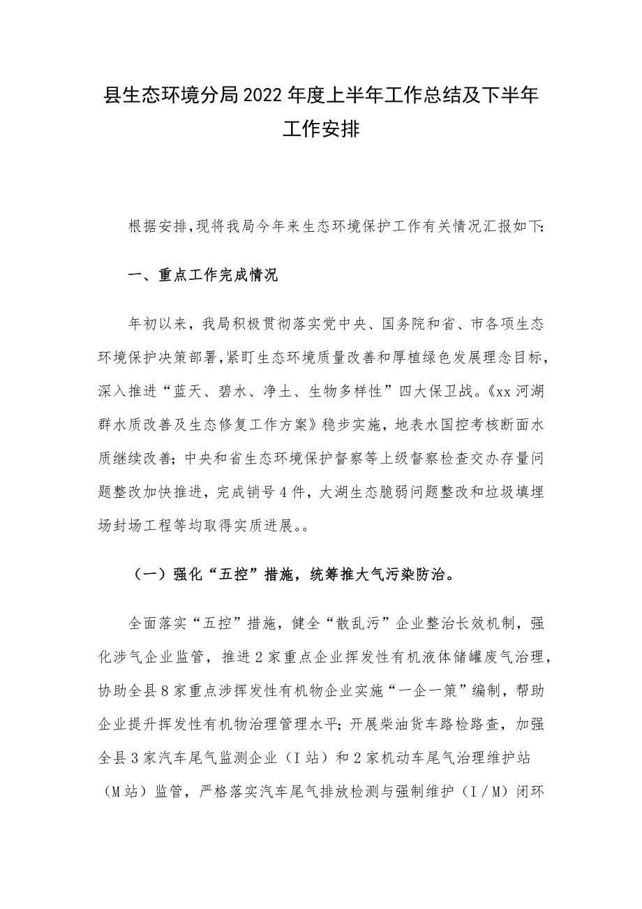 县生态环境分局2022年度上半年工作总结及下半年工作安排.docx_第1页