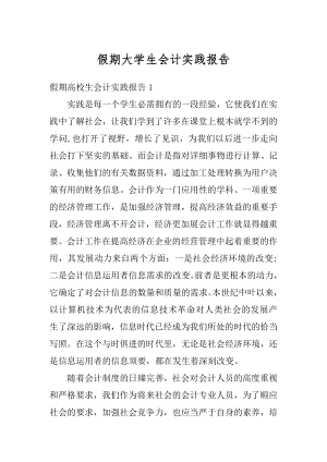 假期大学生会计实践报告精选.docx