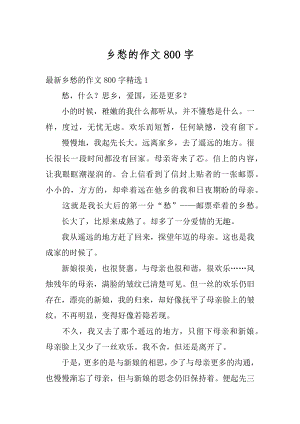 乡愁的作文800字汇总.docx