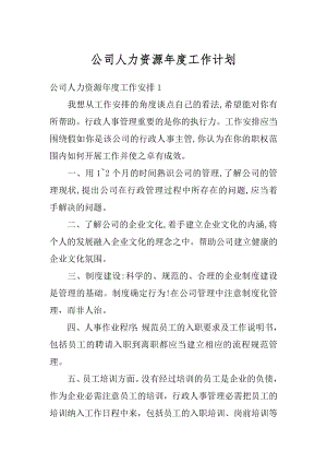 公司人力资源年度工作计划汇总.docx