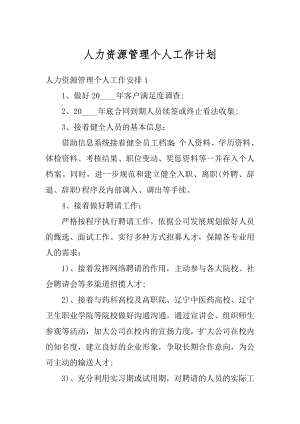 人力资源管理个人工作计划精编.docx