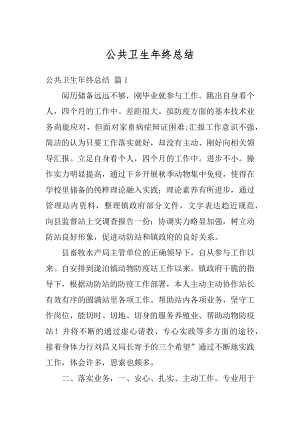 公共卫生年终总结精编.docx