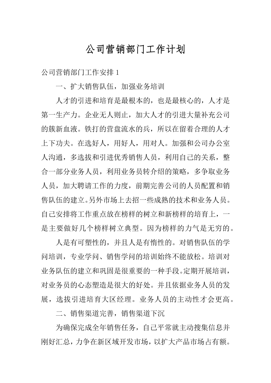 公司营销部门工作计划范文.docx_第1页