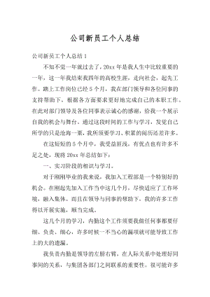 公司新员工个人总结汇编.docx