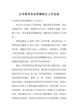 公司程序员试用期转正工作总结汇编.docx