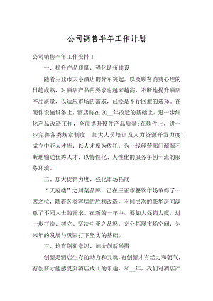 公司销售半年工作计划精选.docx