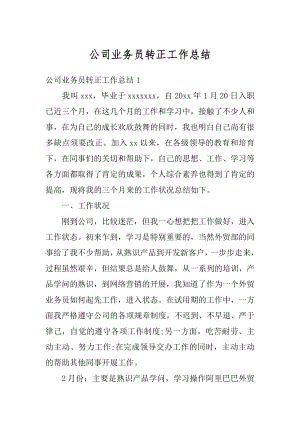 公司业务员转正工作总结优质.docx