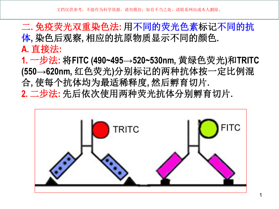 免疫组化双重染色技术课件ppt.ppt_第1页