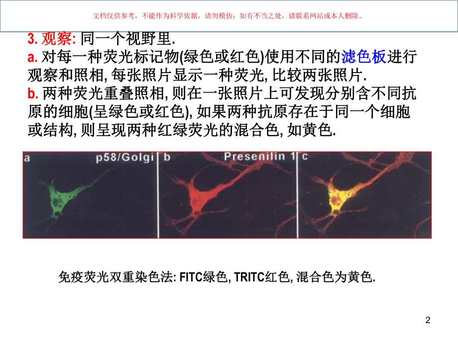 免疫组化双重染色技术课件ppt.ppt_第2页