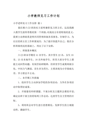 小学教师见习工作计划汇编.docx