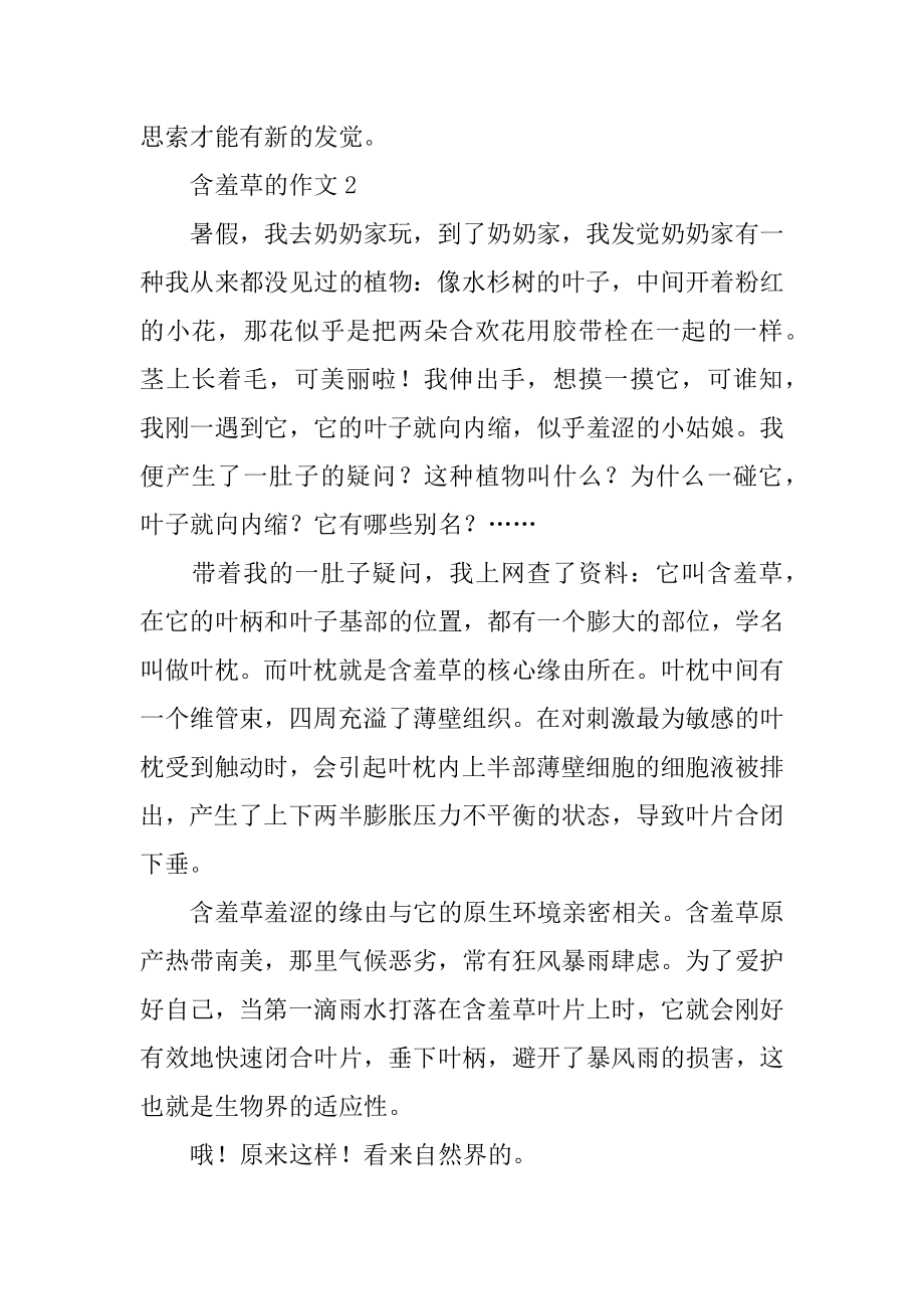 含羞草的作文三年级汇总.docx_第2页