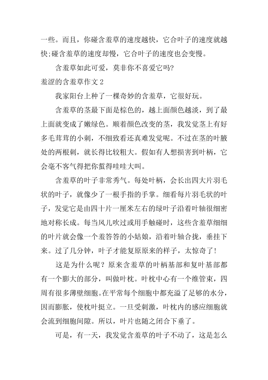 害羞的含羞草作文汇总.docx_第2页