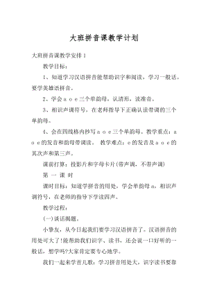 大班拼音课教学计划优质.docx