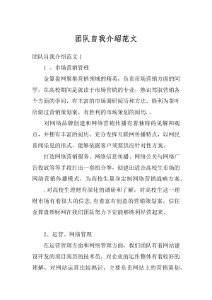 团队自我介绍范文.docx