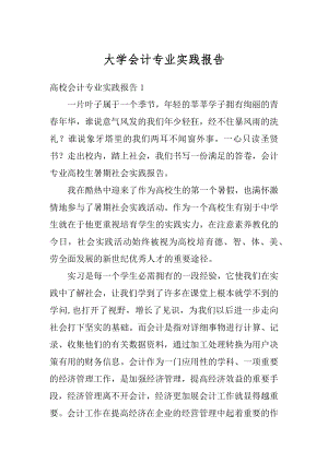 大学会计专业实践报告优质.docx