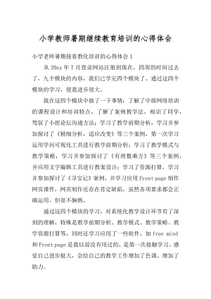 小学教师暑期继续教育培训的心得体会精选.docx