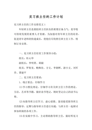 实习班主任的工作计划范例.docx