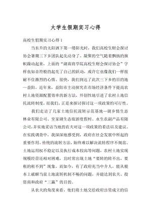 大学生假期实习心得精编.docx