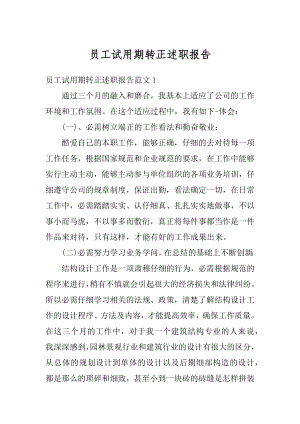 员工试用期转正述职报告精选.docx