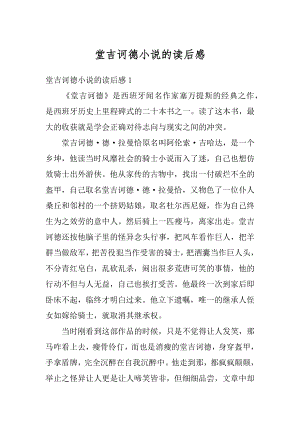 堂吉诃德小说的读后感汇编.docx