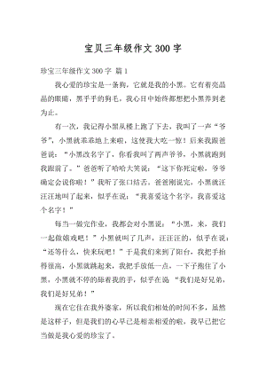 宝贝三年级作文300字汇总.docx