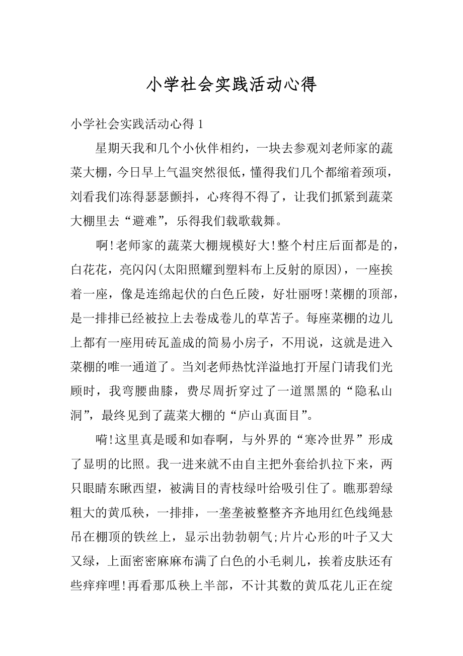 小学社会实践活动心得汇总.docx_第1页