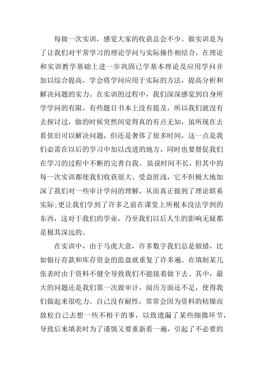 审计实习工作总结范例.docx_第2页