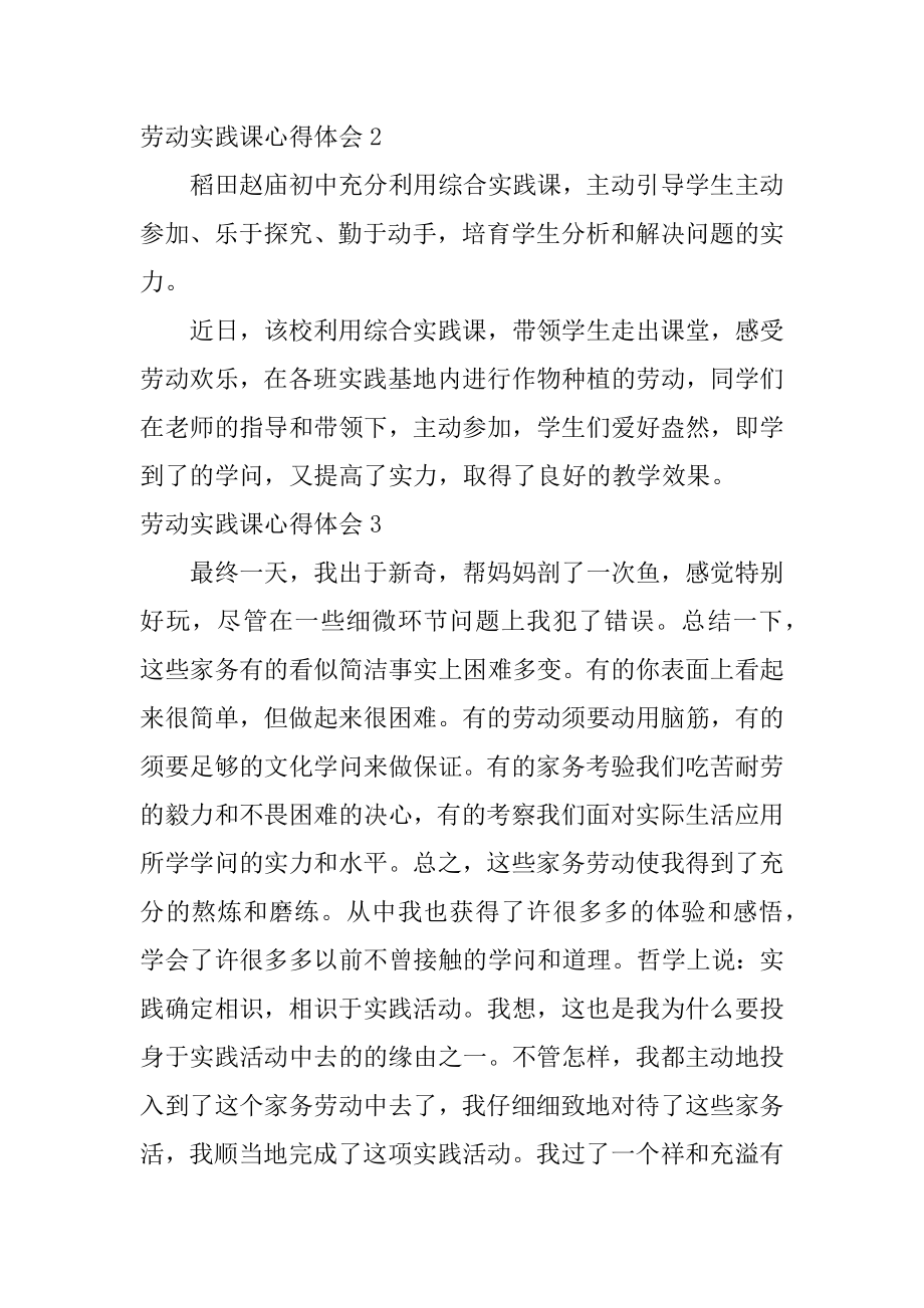 劳动实践课心得体会例文.docx_第2页