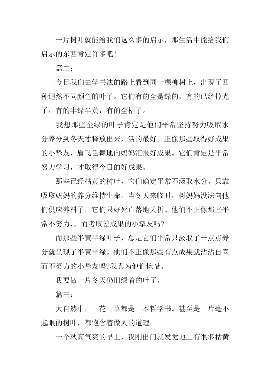 四年级树叶给我的启示作文精编.docx_第2页