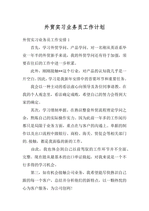 外贸实习业务员工作计划最新.docx